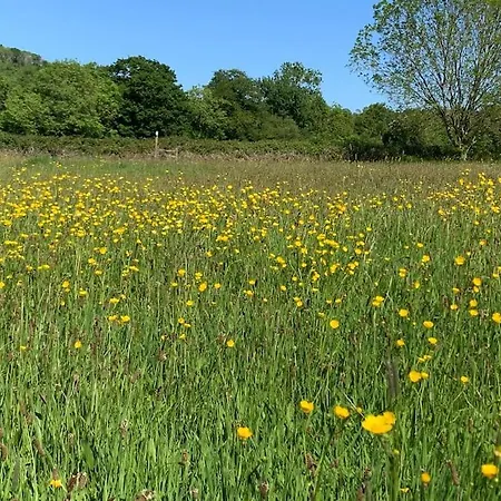 Stunning Country Between & Bath * בריסטול