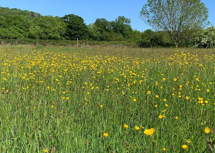 Stunning Country Between & Bath * Bristol